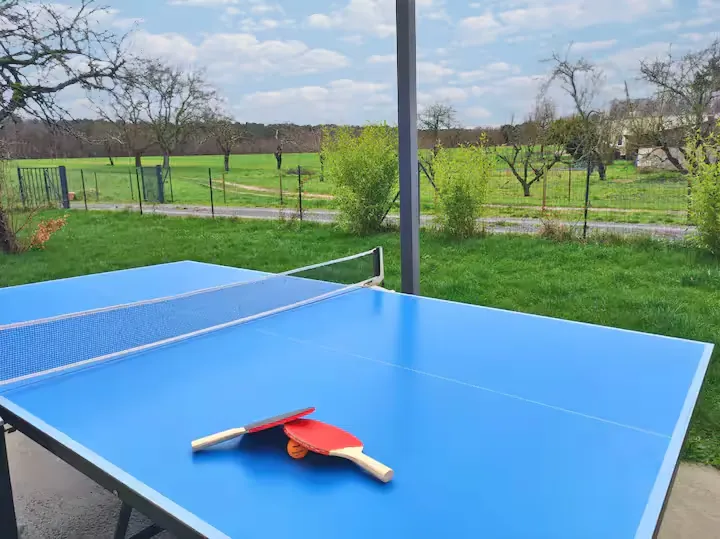 Ping-pong