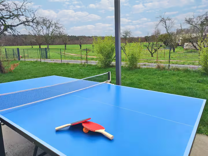 Ping-pong